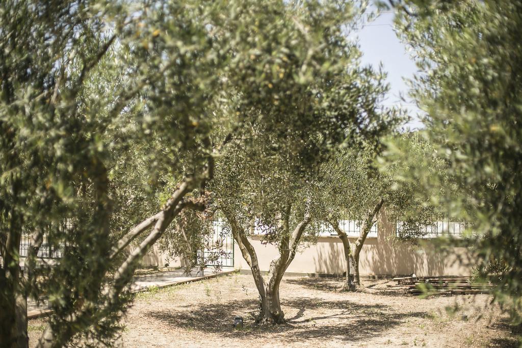 Olive Tree Apartments Fourka Dış mekan fotoğraf