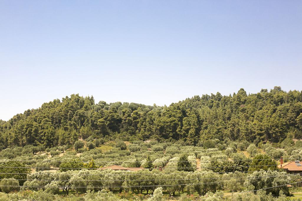 Olive Tree Apartments Fourka Dış mekan fotoğraf
